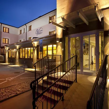 Hotel Viktor 3*